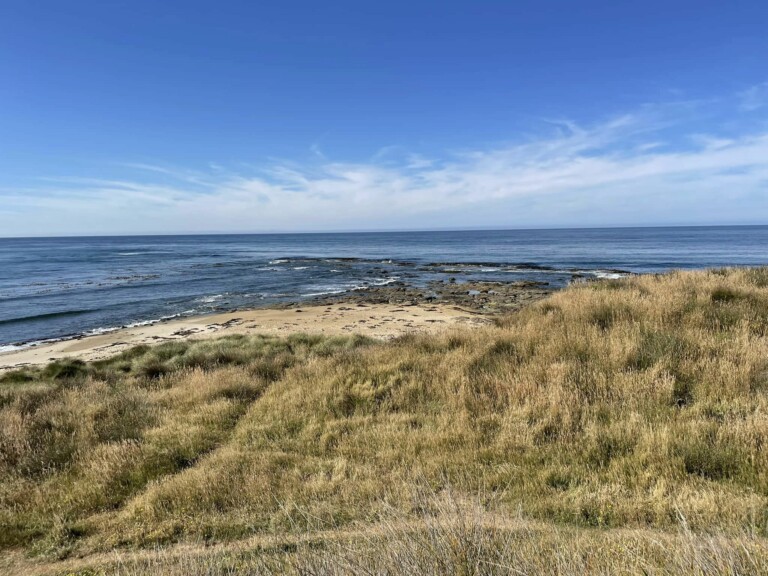 A photo looking out on the ocean with a grassy shore in the foreground