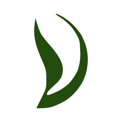 NZDSN logo 2