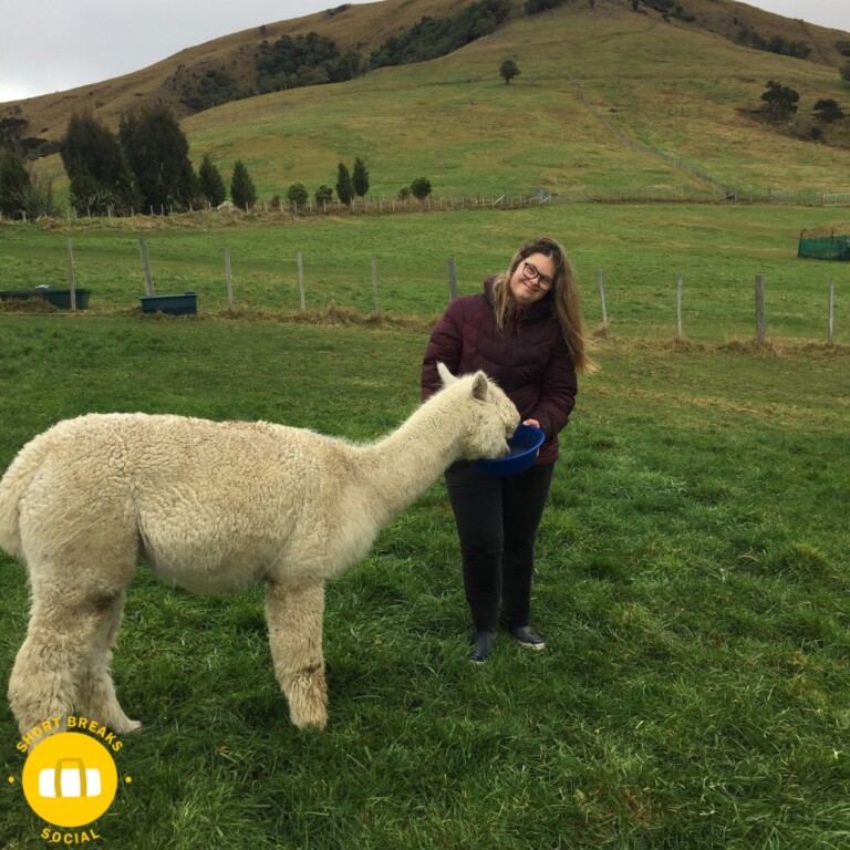 A young woman standing in a paddock feeding an alpaca