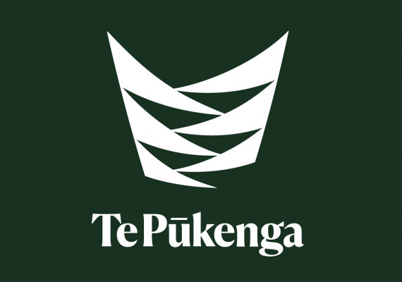 TePukenga-Thumbnail__FillWzU3MCw0MDBd