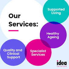 Some of the Services provided by IDEA Service: Quality and Clinical Support, Specialty Services, Healthy Ageing, Supported Living.