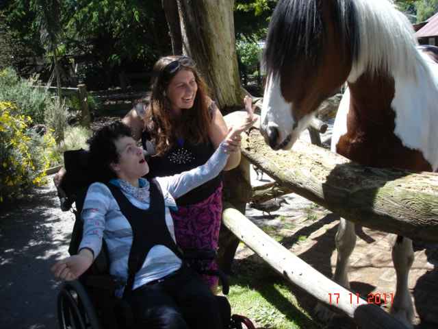 A photo of a person in a wheelchair reaching up to pet a horse