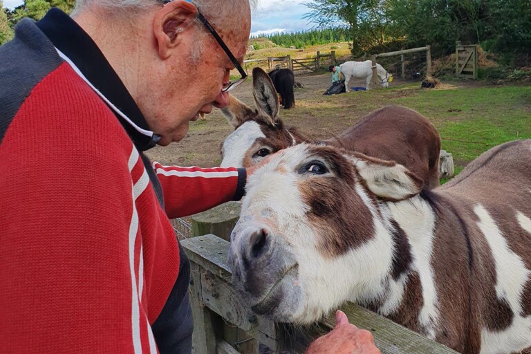 A photo of a man petting a donkey at a petting zoo