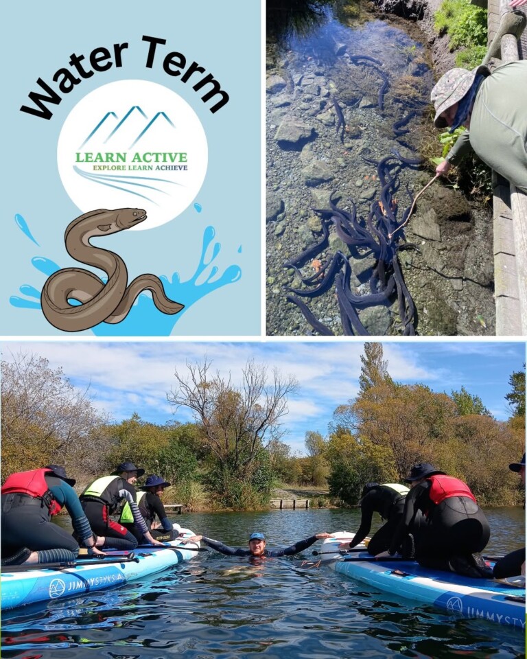active-learn-4